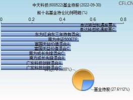 股票600522？镍氢电池概念的股票有哪些？