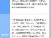 云赛智联（云赛智联是什么龙头？）