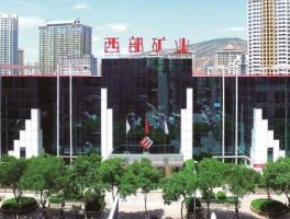 青海西部矿业？西部矿业现在是国企还是私企啊？