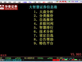 华泰大智慧软件？华泰证券大智慧下载中，总是图形错误？