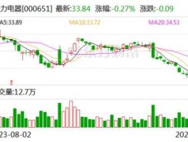 600983股票（生产空气净化器有哪些股票上市公司？）