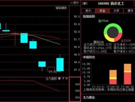 股票600486（600486信威股票是什么公司？）