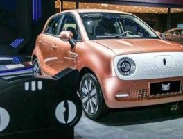 家用电动汽车价格 微型电动汽车都有什么价格？