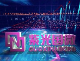 紫光国微股票？紫光国微这么跌是有利空吗？