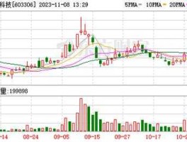 张江高科股票？具有光刻胶及数字科技概念的股票？