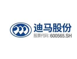 迪马股份，迪马股份到底是做什么的？