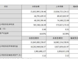 300104 会计报表里的净利润是负数表示什么一定就是亏损？