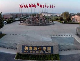 德青源，德青源公司怎样？