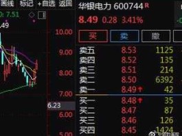 股票600744 新能源电力十大龙头？