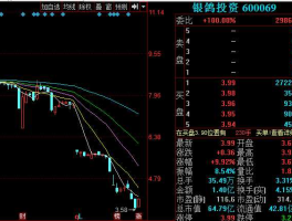 银鸽股票现在可以交易吗（银鸽投资股票现在多少钱）