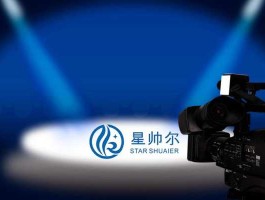 星帅尔？星帅尔主营业务？