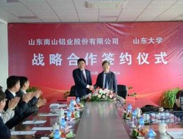 南山铝业（南山集团和南山控股什么关系？）