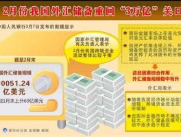 3万亿外汇储备意味着什么(中国3万亿外汇储备包含美国国债吗)