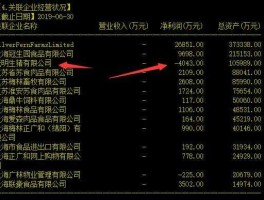 龙大发债 社保基金602组合怎么样？