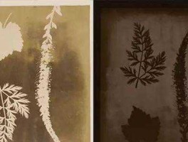 盖达尔的旗帜1024地址 达尔盖的旗帜是什么意思？