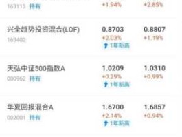 519505，兴业银行发行的基金有哪些？