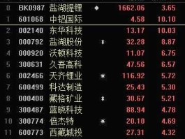 东华科技股票？盐湖提锂储能方面的股票？