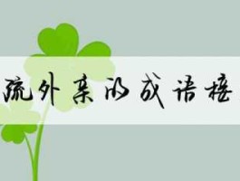 内什么 成语内什么外什么？