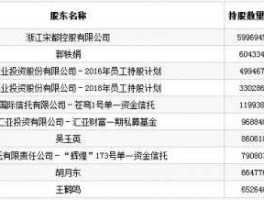 宋都股份股票 中国十大光伏企业排名？