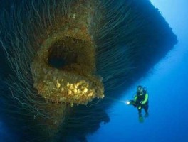 深海100000米以下生物？400bar是多少兆帕？