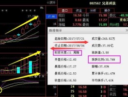 股票600602今天净值（股票600720最新净值）