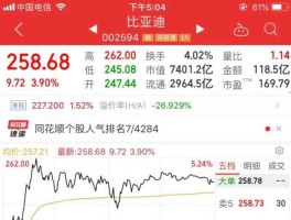 比亚迪 股票？比亚迪股票代码是多少，能不能把代码告诉我啊？