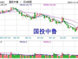 国投中鲁股票 十堰聚鑫国投下设几个子公司？