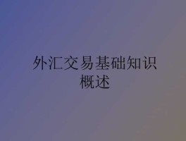 外汇的概念是什么（外汇的基本概念）