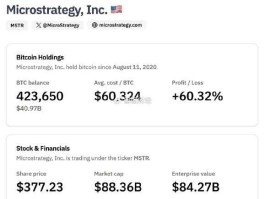 MicroStrategy 提案拟将 3.3 亿股普通股分拆增发至 103 亿股