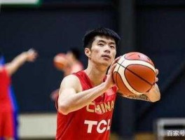 王子瑞（王子瑞进过国家队吗？）