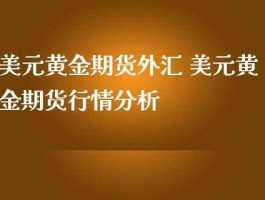 外汇期货交易（外汇期货交易以美元报价吗）