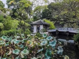 日本援助中国绿化，中国园林评价？