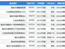 股市基金嘉实（嘉实基金投资的股票）