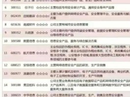 安全概念股，信息安全细分龙头？