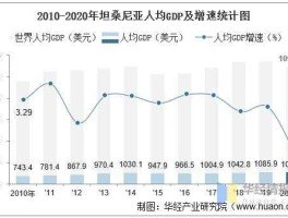 中国人在坦桑尼亚收入(坦桑尼亚收入平均多少人民币一个月)