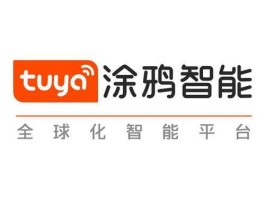 涂鸦科技（涂鸦智能科技有限公司是外包么？）