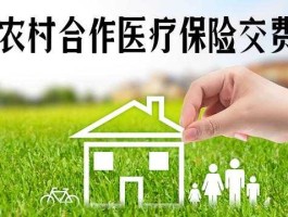 富国医疗保健 农村合作医疗里的其他基金是什么？