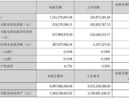 兴业矿业股票 沪深有哪些白银股票？