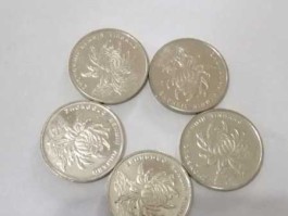 1996一元硬币价值12万(菊花一元一枚100万)