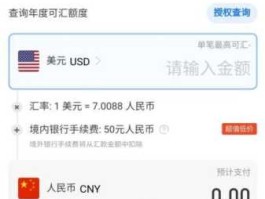 rmbhkd（人民币汇款到境外限制）
