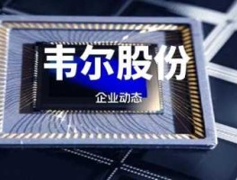 韦尔（韦尔股份百科？）