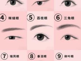 芙蓉出水形态？芙蓉眼型是什么眼？