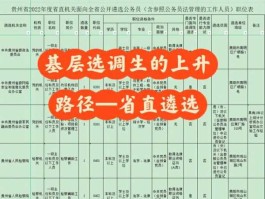 雄安集团一周收简历4123份 专项定向选调生报名流程？