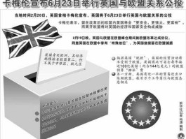 英国公投结果，英国脱欧开始提出的时间？