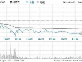 贵州天然气股票行情（600903贵州燃气股票行情）