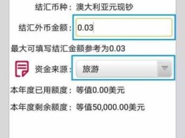 什么是外汇资金（如何写外汇资金来源？）