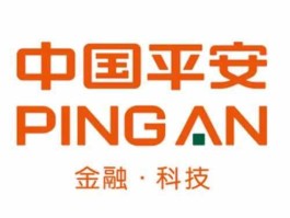 中国平安公司 中国平安是做什么的？