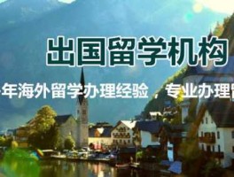 留学咨询机构（正规的出国留学中介有哪些？）