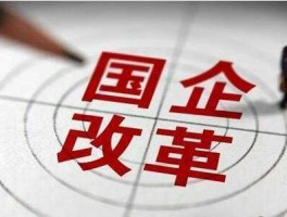 国企改革 什么叫国企改革？