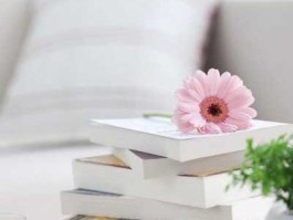 欣睿 欣睿新能源电动车多少钱一台？